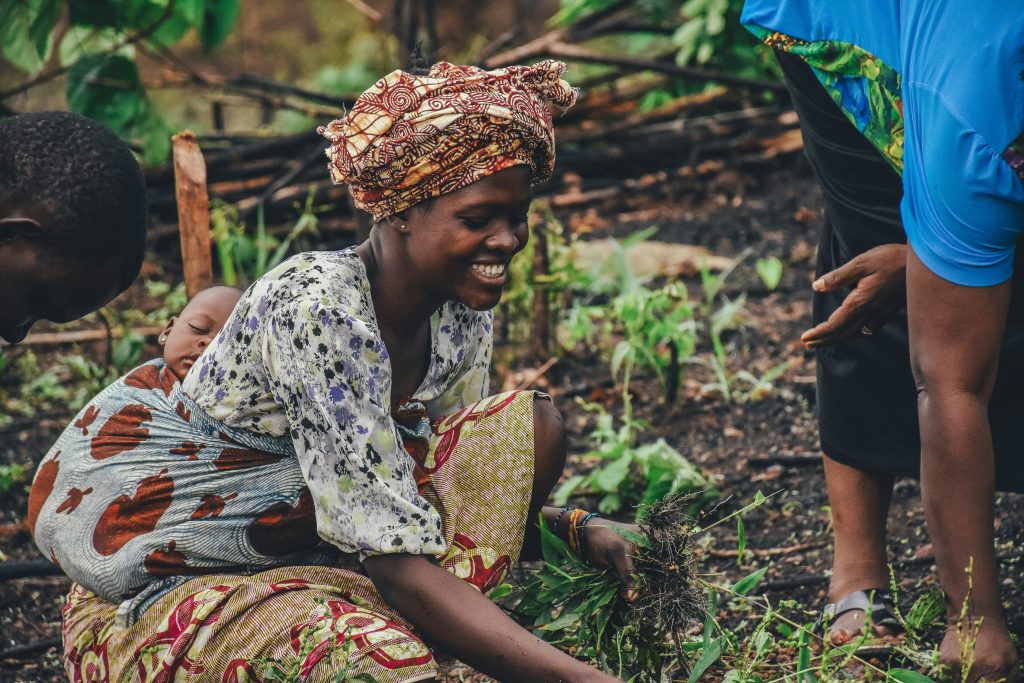 Femme ngambaye au champ.